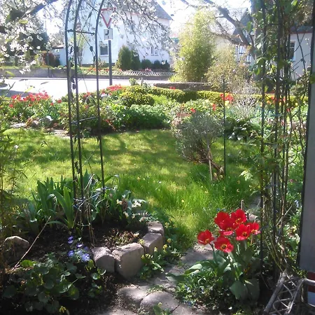 Ferienhaeuser Casa Am Baybachtal Holiday home Beltheim